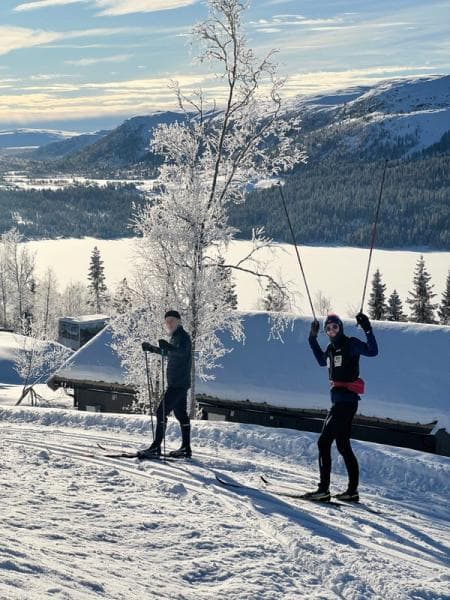 image for Bjørn Nyansatt