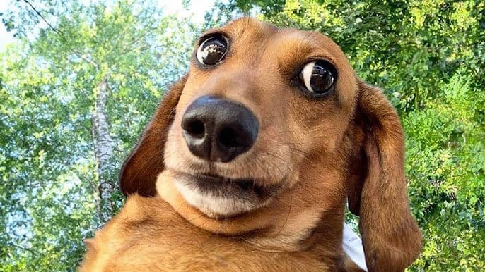 image for Trul skrive en artikkel